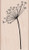 Hero Arts G5311 Mounted Rubber Stamp Woodblock Stamp  Silhouette Spray