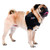 Caldera Pet Therapy Shoulder Pet Therapy Wrap with Therapy Gel Small