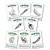 Hot Pepper Seeds - Organic Heirloom Chili Seed Variety Pack - Cayenne, Jalapeno, Habanero, Poblano, and More