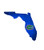 NCAA Florida Gators 11 X 11 Team Color Logo State