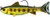 LiveTarget TRS131MS713 Trout Parr Freshwater 5 80 Hook MediumSlow Sinking GoldOlive