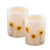 Lumabase 92202 2 Count Dried Flowers Battery Operated LED Candles