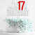 Happy 17th Birthday Cake Topper  Seventeenyearold Cake Topper Teens 17th Birthday Cake Decoration 17th Birthday Party Decoration Silver and Red