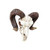 Pacific Giftware Ram Skull and Horns Baphomet Wall Trophy Decor 11 Inch