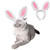 ANIAC Pet Headgear Soft Headband with Cute Bunny Ears Warm Hat Head Accessories Easter Costume for Cats Kitten Puppy and Small Dogs MediumHead Girth 15 Inch  17 Inch