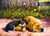 Sleepy Companions 15 Piece Jigsaw Puzzle by SunsOut
