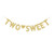 Two Sweet Banner with Heart Gold Gliter Paper Sign for KidsBabiesLitte GirlsBoys 2nd Birthday Twins Baby ShowerBirthday Decorations