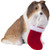 Sandicast Sable Shetland Sheepdog with Stocking Christmas Ornament