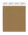 PANTONE SMART 17-1125X Color Swatch Card, Dijon