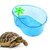 POPETPOP Turtle LagoonSmall Turtle Habitat with Plastic Wwamp TreesTurtle Live Breeding Box with Drying Platform Small Size