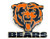 NFL Chicago Bears Team Logo Pin