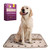 Washable Pee Pads For Dogs  Reusable Pee Pads And Reusable Puppy Pads Waterproof
