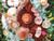 Ceaco Mushrooms Jawbone Puzzle - 750 Pieces