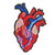 Realistic Anatomical Heart Embroidered Iron On Patch Fun Meme Hat Pin DIY