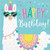 Llama Party Happy Birthday Napkins, 48 ct