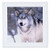 3dRose Timber Wolf, Canis Lupus - Na02 Dno0319 - David Northcott - Quilt Square, 10 by 10-Inch (qs_83899_1)