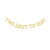 Two Legit to Quit Banner KidsBoysGirls 2nd Birthday Party Decors Gold Gliter Paper Sign Backdrops
