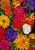 Toland Home Garden Dizzy Dahlias 28 x 40 Inch Decorative Colorful Spring Summer Flower House Flag