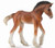 Collecta Clydesdale Foal Bay