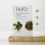 Tazo Tea White Berry Blossom Tea 3x20 bag