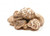Shitake Mushroom Dried1LbGrade A Dried Japanese Shitake