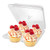 Stock Your Home 4Compartment Disposable Containers 40 Count  Plastic Cupcake Containers  Disposable Trays for Cupcakes  Muffins  Hinged Lock Cupcake Clamshell  Deep Cups for Cupcake Storage