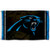 WinCraft Carolina Panthers Large 3x5 Flag
