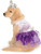 Rubies Pet Costume XLarge Pageant Queen