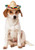 Rubies Costume 888594ML Co Pet Sombrero Hat With Multicolor Trim MediumLarge