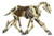 Papo Skeleton Horse Toy
