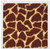 3dRose Greeting Cards Giraffe Print Brown Set of 6 gc153711