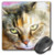 3dRose Beautiful Maine Coon Cat Closeup  Mouse Pad 8 by 8 inches mp1110831