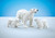 Playmobil Polar Bear Family #9833
