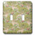 3dRose lsp_193070_2 Print of French Silk and Lace in Green and Pink Double Toggle Switch