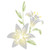 Easter Lily Stencil 8 x 10 inch M  Perennial Flower Floral Arum Calla Lilies Stencils