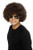 Smiffys Mens One Size 70s Funky Afro Wig Brown