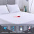 Twin Mattress Cover Twin Matressprotector Waterproof Machine Washable White Noiseless Premium Soft Cotton Terry VinylFree Twin Mattress Protector for Pets Kids Adults 38 x 75