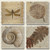 Captured in Stone Square Assorted Tumbled Stone Coaster Set of 4, Highland Graphics