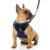 RYPET Small Dog Harness and Leash Set  No Pull Pet Harness with Soft Mesh Nylon Vest for Small Dogs and Cats Blue S