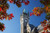 Clock Tower Dunedin South Island New Zealand Poster Print by David Wall 24 x 15