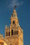 Posterazzi Cathedral And Giralda Tower Seville Spain Poster Print by Walter Bibikow 18 x 24
