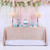 TRLYC 1 Day Ship Champagne Sparkly Sequin Tablecloth Sequin Tablecloth Overlay 48x72