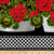 Timeless Treasures Front Porch Geranium Border Stripe Yard Black