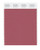 PANTONE SMART 18-1630X Color Swatch Card, Dusty Cedar