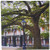 3dRose LLC 8 x 8 x 0.25 Inches Mouse Pad, Historic New Orleans (mp_44930_1)