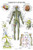 Nervous System Anatomy Poster  Laminated  Autonomic Nervous System  Brain Anatomical Chart  18 x 27