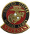 EagleEmblem United States Marine Veteran Logo Emblem Lapel  Hat Pin