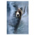 Hoffman Fabrics Hoffman Digital Call of The Wild 29 Forest Bear Panel Storm