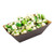 Black Paper Bio Boat  2 x 34 x 1 14  50 count box  Restaurantware