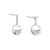 FarryDream 925 Sterling Silver Clear Crystal Drop Earrings for Women Teardrop Earrings FarryDream 925 Sterling Silver Clear Crystal Drop Earrings for Women Teardrop Earrings